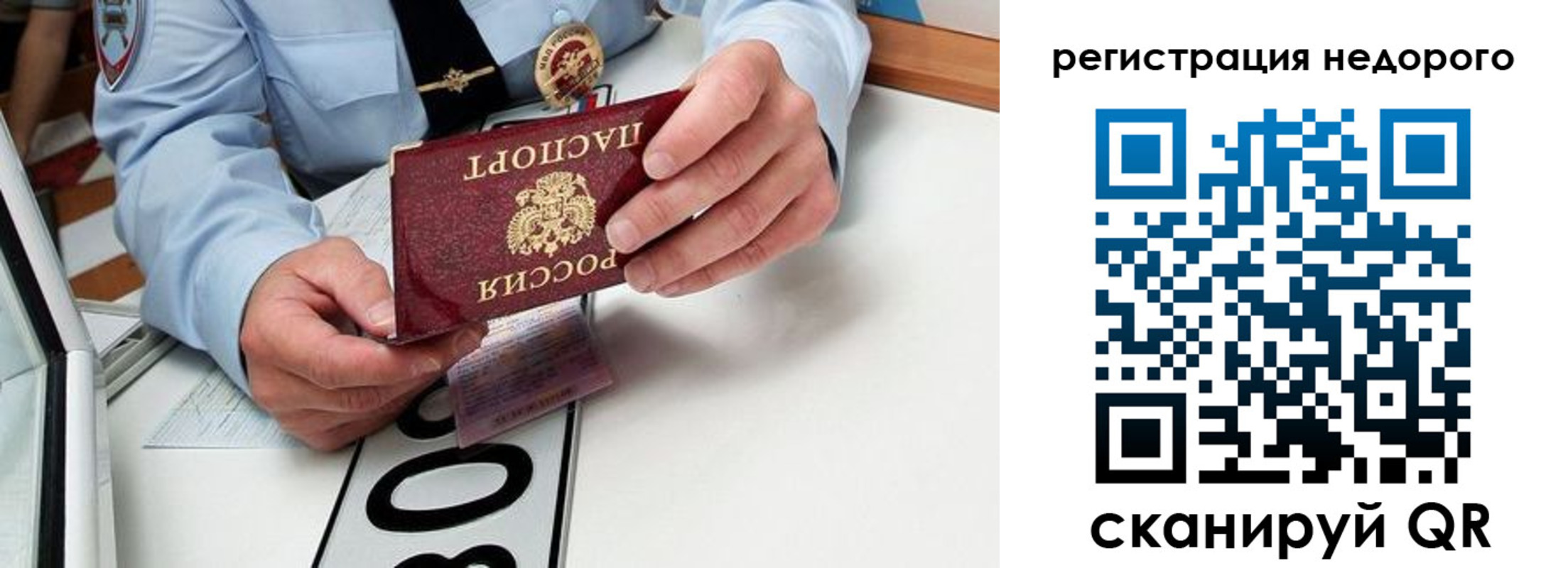 прописка ребенка в Димитровграде
