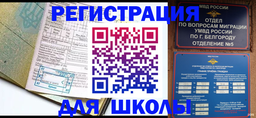временная регистрация для всех в Димитровграде